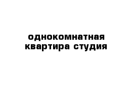 однокомнатная квартира студия